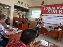 BRI Sosialisasi Program KUR