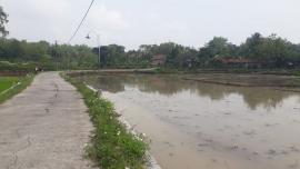 Masuki dasarian kedua November, para petani masih 