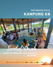 Rakor Pokja Kampung KB, perkuat sinergitas pemberdayaan keluarga