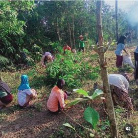 KWT Banyu bergerak siapkan lahan tanam varietas sayuran 