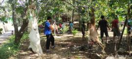 Masyarakat Kaligayam Kidul Laksanakan Penyembelihan Hewan Qurban Idul Adha 1447 H