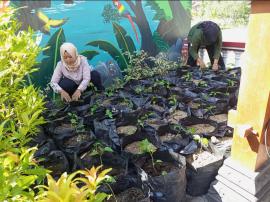 Cabe Brengos, andalah Mrantasi PKK untuk menjaga ketahanan pangan keluarga